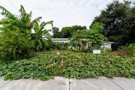 Lessons Learned from My Yearlong 100% Homegrown and Foraged Food Challenge Image